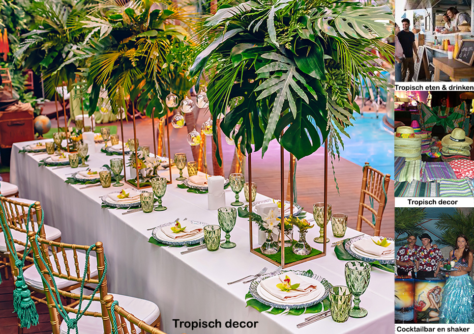 Tropische decoratiepakketten